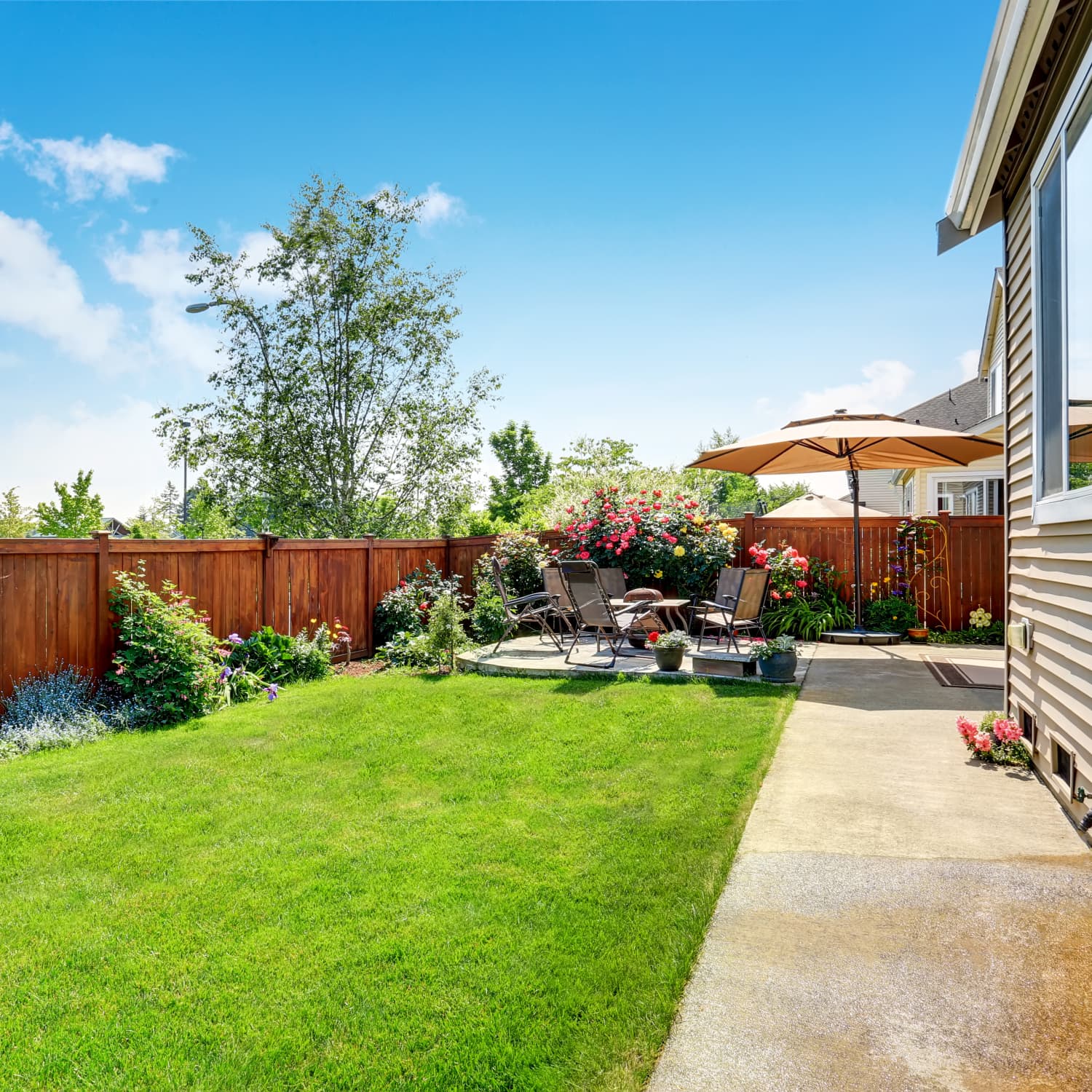A landscaped Canberra backyard with a manicured lawn, rose bushes along a wooden fence, a stained timber perimeter fence, and a concrete patio with outdoor seating